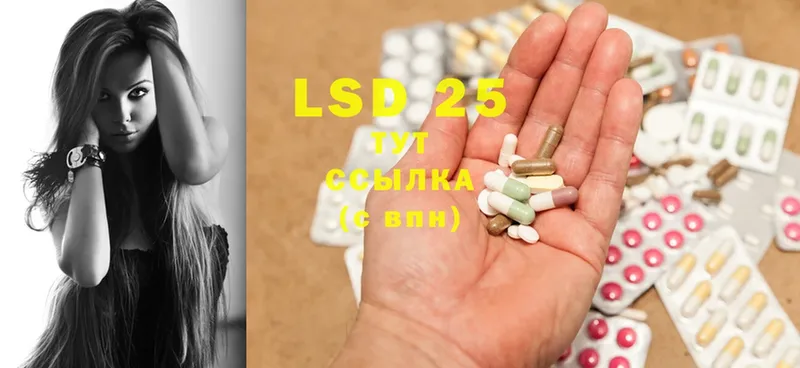 кракен как зайти  Болхов  darknet Telegram  Лсд 25 экстази ecstasy 